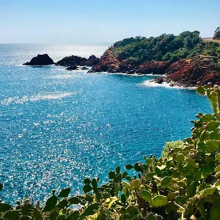 Appartement Le Trayas Raphael Superbe 3 Pièces Vue Mer Jardin Privatif Jacuzzi 6 Personnes